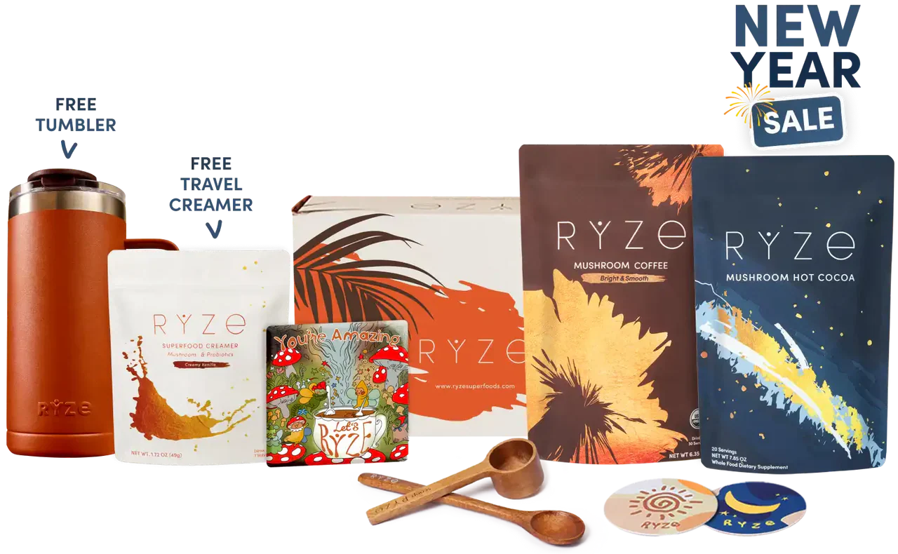 Day + Night Bundle Edition-1BQJ