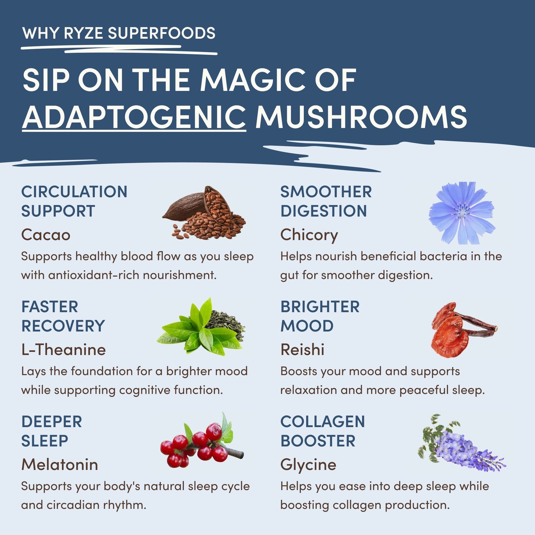 Mushroom Hot Cocoa Edition-0LO7